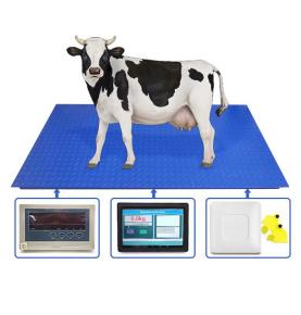 RFID牛耳タグ認識計量システム電子動物スケールRFID動物耳タグ認識スマートタッチスクリーン付きフロアスケール