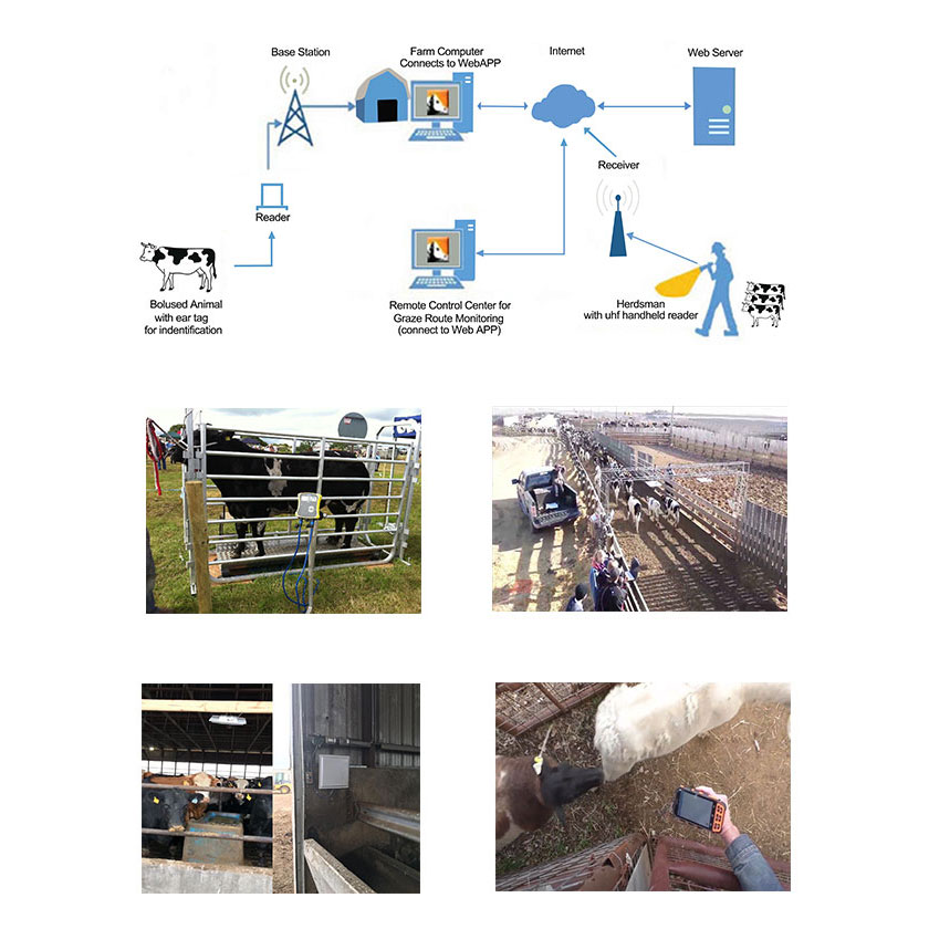 RFID 動物追跡、識別および管理システム