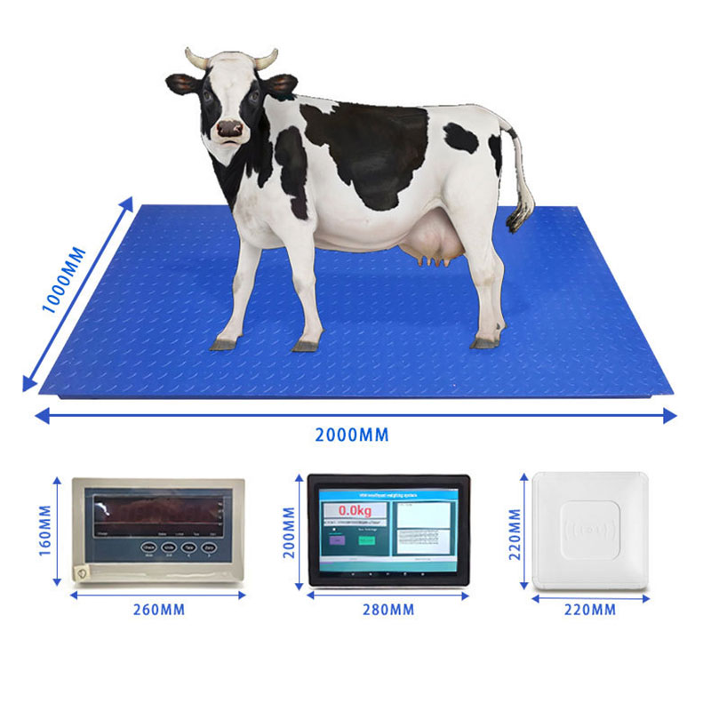 RFID 牛耳タグ認識計量 システム電子動物スケール RFID 動物耳タグ認識スマート タッチ スクリーン付きフロア スケール